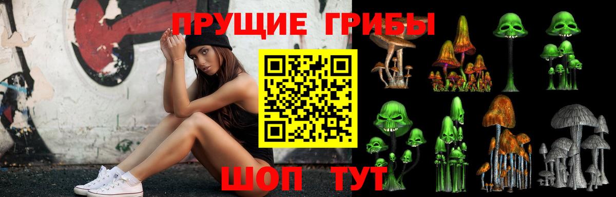 Галлюциногенные грибы MAGIC MUSHROOMS  Вход с VPN  где купить наркоту  Назрань 